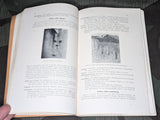 Skin and Sexual Diseases Book 1940