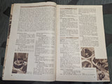 Wildgemüse - Wildkraüter Book Deutschen Frauenwerk
