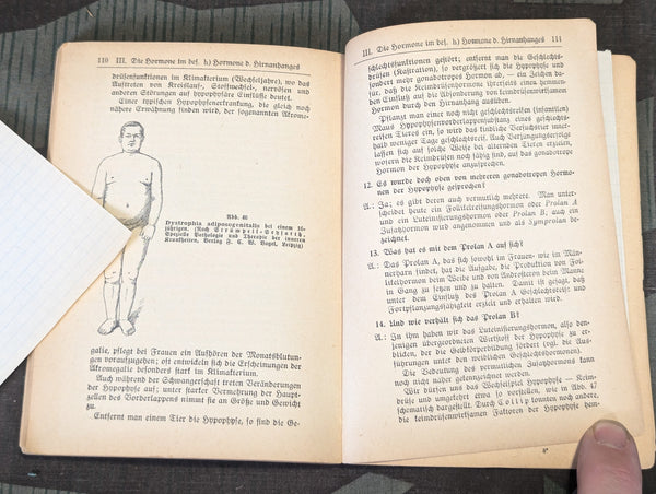 1944 Book on Hormones Effect on The Human Body