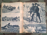 Dutch Signal Magazine Extra Oostnummer 1943 (All about ROA and Foreign Volunteers)