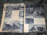 Die Neue Gartenlaube Magazine 4 April 1938
