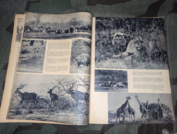 Die Neue Gartenlaube Magazine 4 April 1938