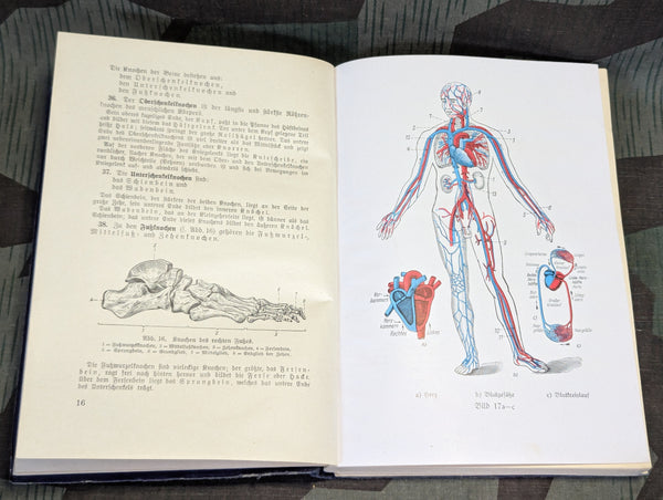 1939 Training Manual for Medics H.Dv.59