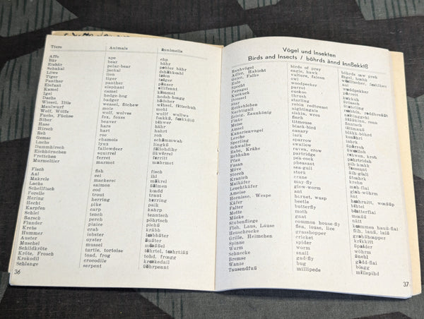 Self Taught English Book
