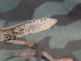 Original Small Cavalry Strap