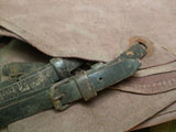 Period Horse Cover