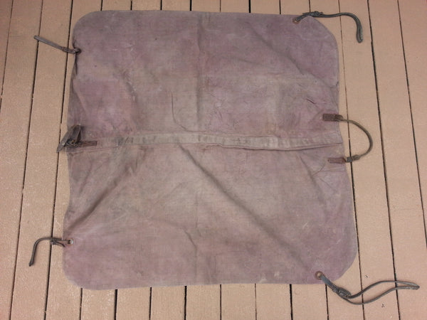 Period Horse Cover