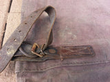 Period Horse Cover