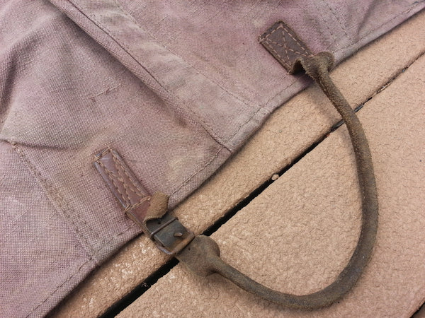 Period Horse Cover