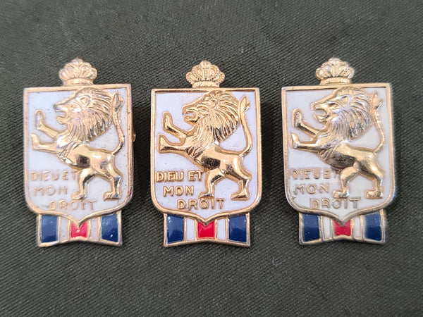 British War Relief Society Lion Pin