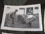 7 German Soldiers Animal Home Life Photos
