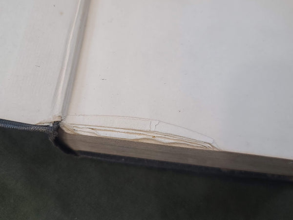 The Nurse's Service Digest Book 1919