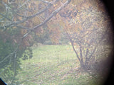 BMK Dienstglass Clear Optics