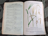 Scholle und Kraft 1939 Farmer's Calendar