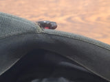 Women's Marine Corps Hat Named (Size 21)