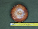 1944 USN Coconut Souvenir Uruguay