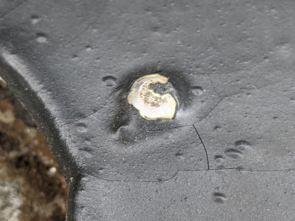 Odd Torn.Fu.d.2 Box (Empty)