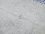 Original Horse Cover Late War