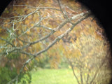 BMK Dienstglass Clear Optics