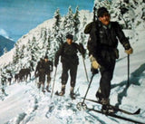 Ski Pole Replacement Baskets