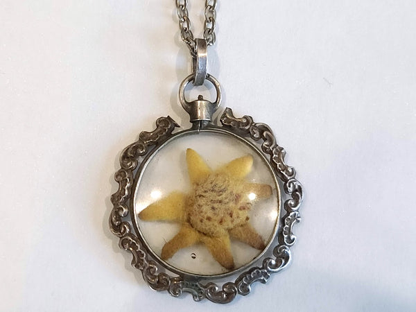 Edelweiss Flower Necklace 800 Silver