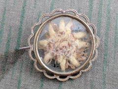 Vintage German Edelweiss Flower Brooch