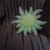 Glow in the Dark Edelweiss Pin