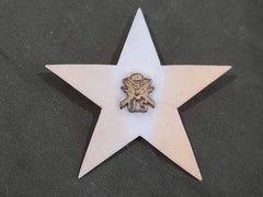 Vintage WWII US Army Star Sweetheart Pin