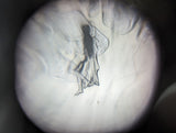 Tiny Locket Picture Viewer Cinematographie Bijou Depose