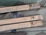 Tent Pegs with Bag