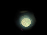 Dienstglas 6X30 Broken Case