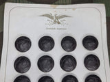 24 Leather Buttons on Card D.R.P. D.R.G.M. 20mm