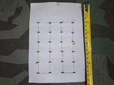 24 Leather Buttons on Card D.R.P. D.R.G.M. 20mm