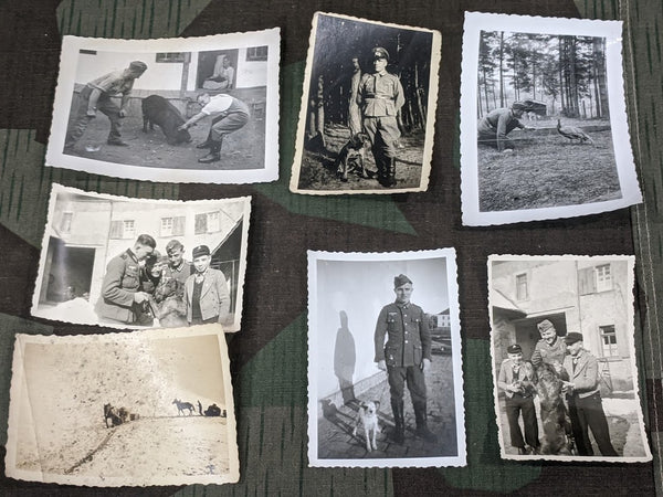 7 German Soldiers Animal Home Life Photos
