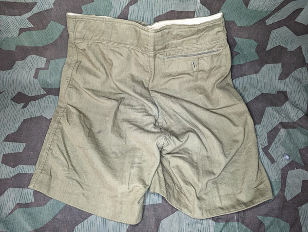 Original Unissued DAK Afrikakorps Shorts