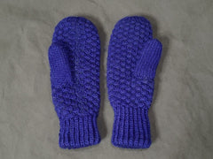 Blue Mittens