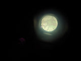 Dienstglas 6X30 Broken Case